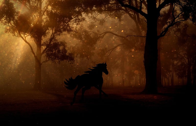 Enchanted Forest Vibes