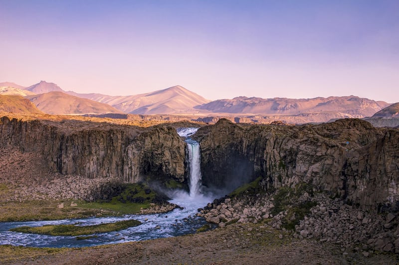 Nature Image